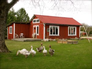 teispere talu haned