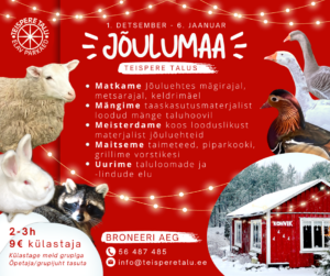 Jõulumaa 2022 info
